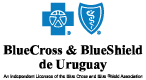 Blue Cross - Blue Shield