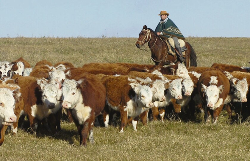 PEONES DE CAMPO