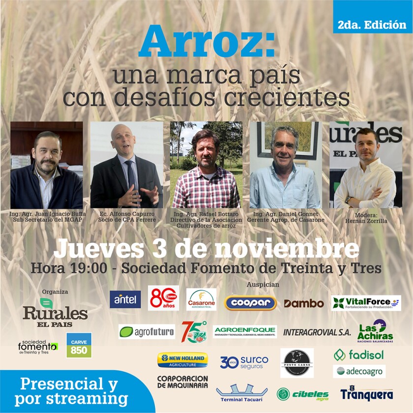 Arroz.jpg