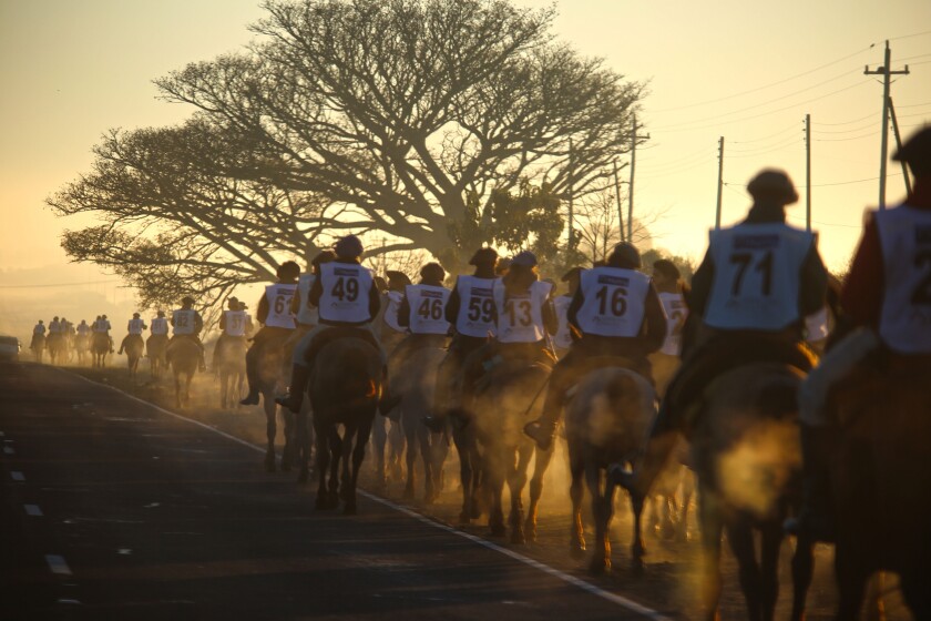 marcha-1.jpg
