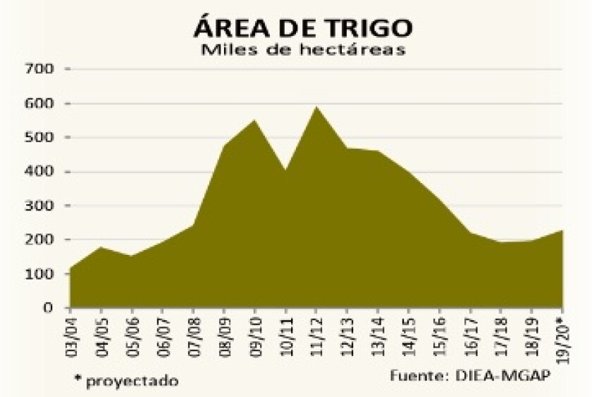 area-de-trigo.jpg