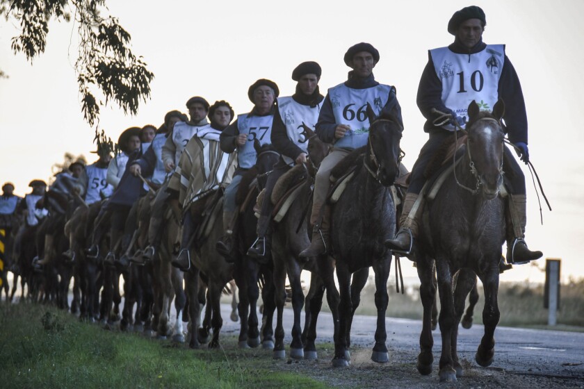 MARCHA DE CRIOLLOS