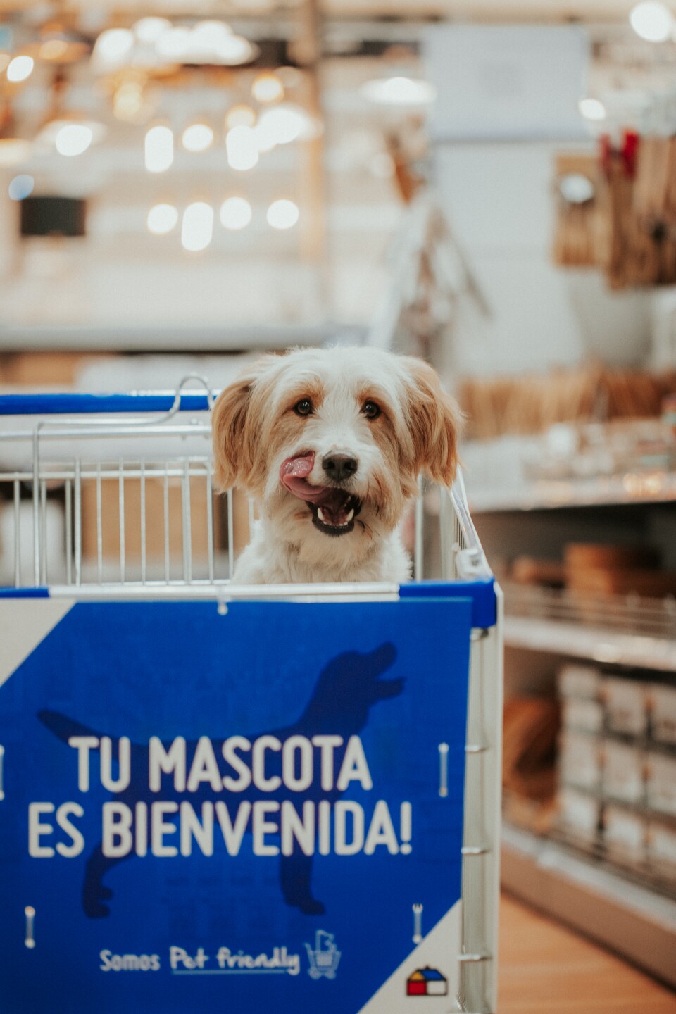 Sodimac Pet Friendly.jpg