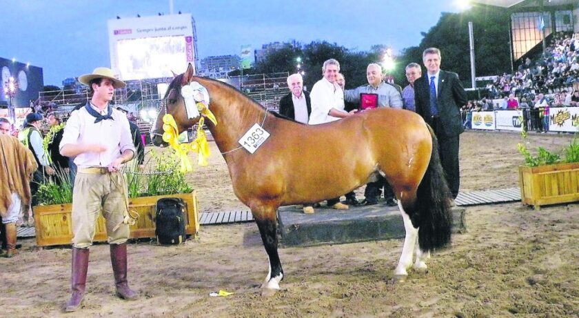 imagen-gomensoro-campeon-ok-1024x562.jpg