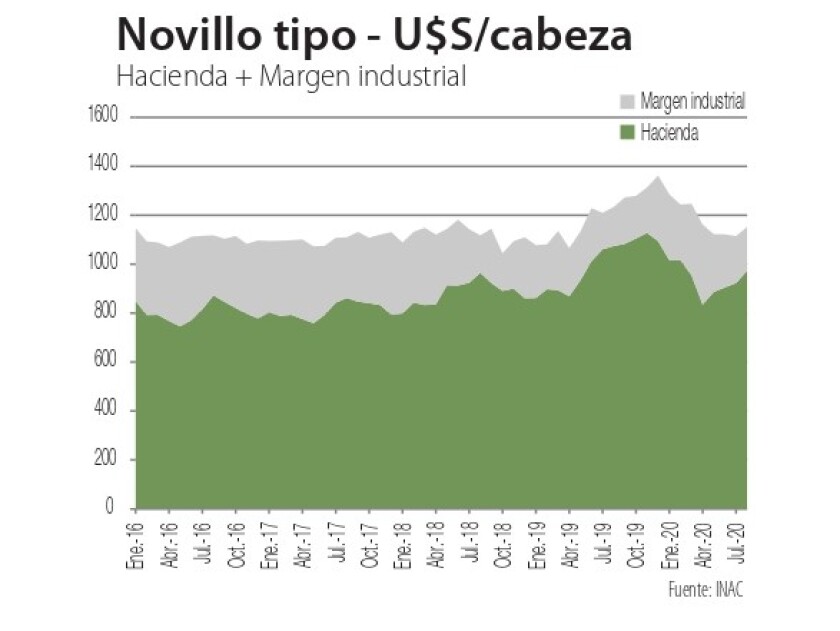 novillo-tipo.jpg