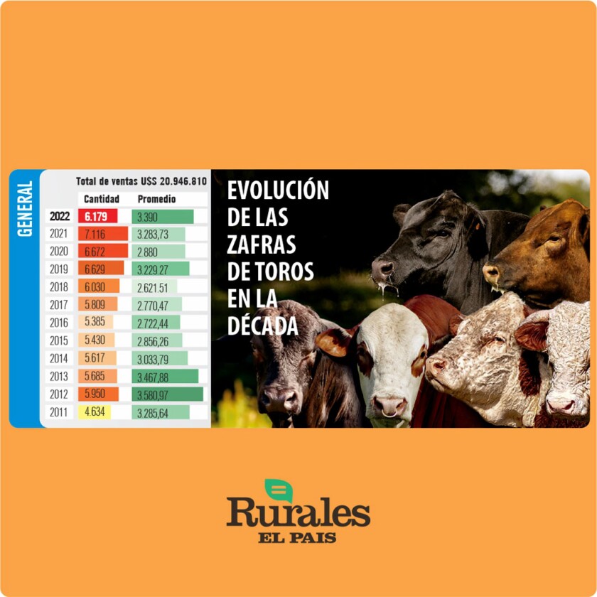 Resultados zafra de toros Evolución.jpg