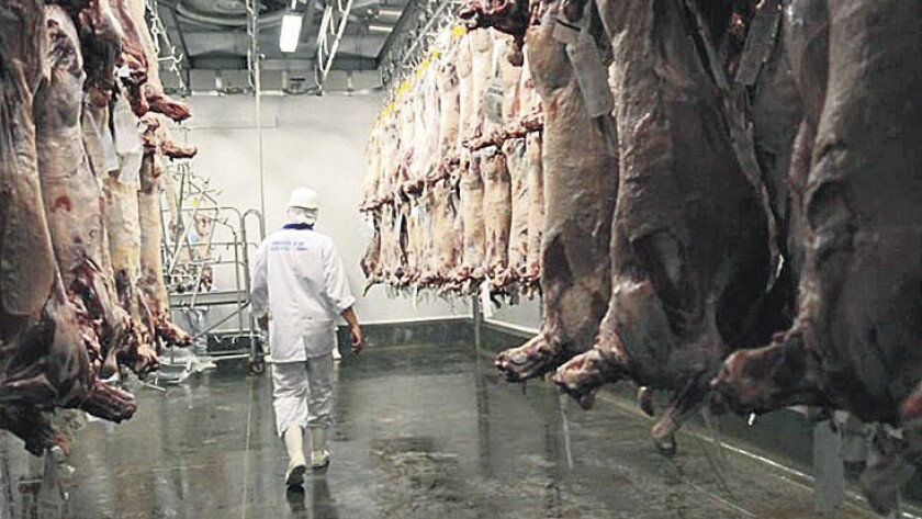 imagen-carne12.jpg