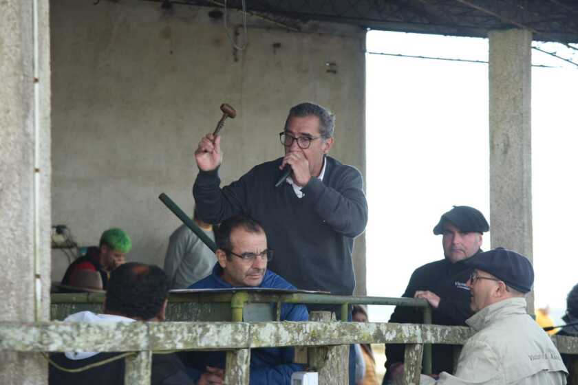 Nico Batlle.jpeg