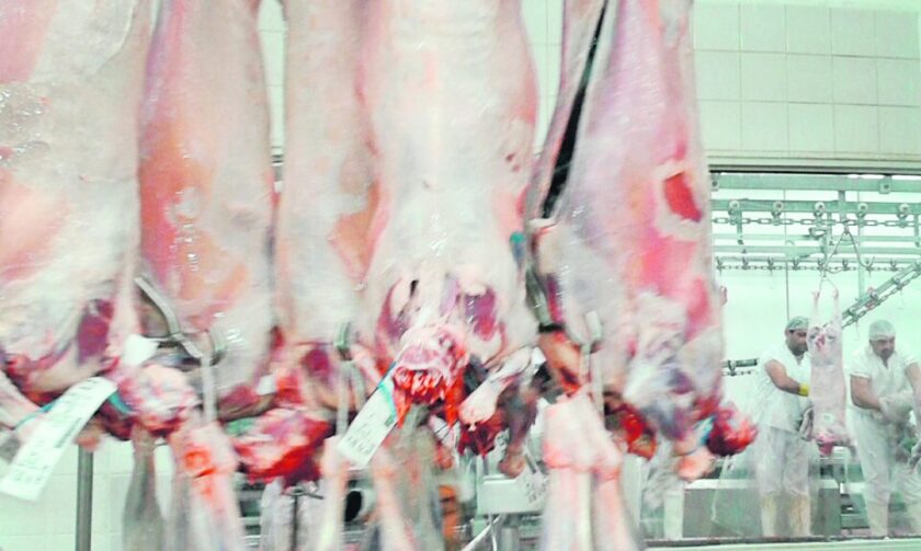 foto-carne-ovina-1024x613.jpg