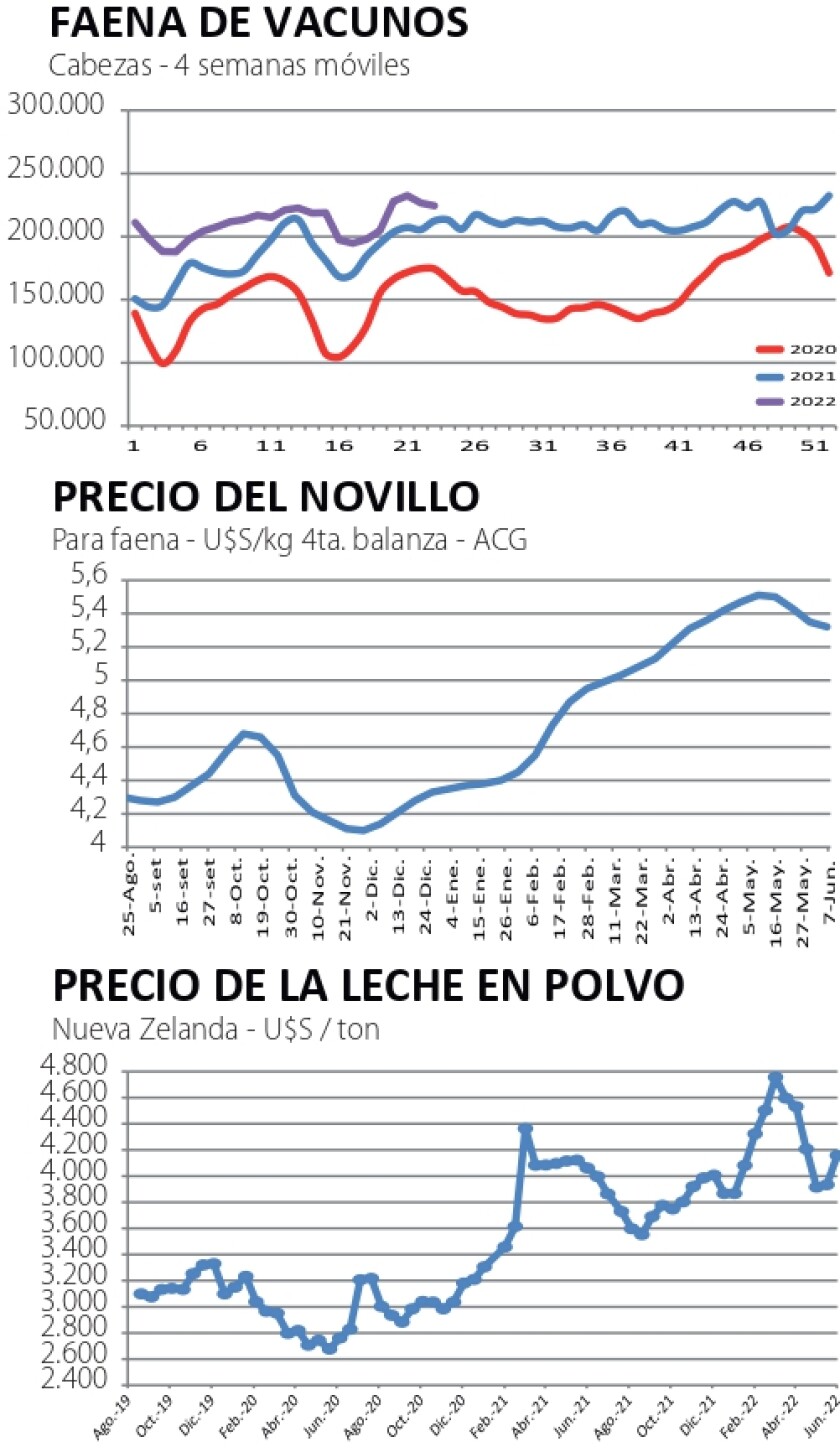 indicadores
