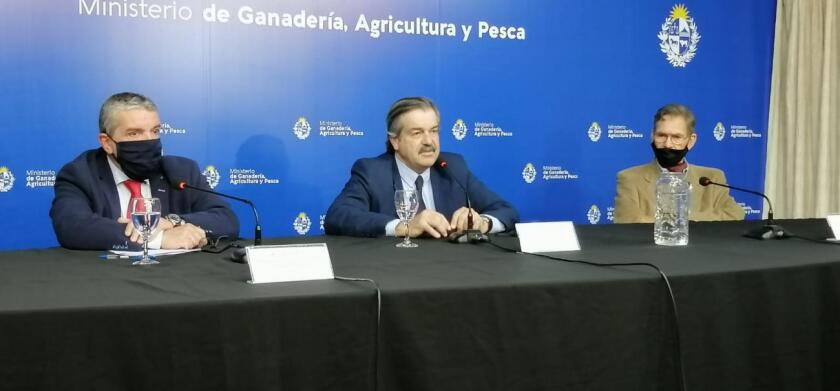 confe-inavi.jpeg