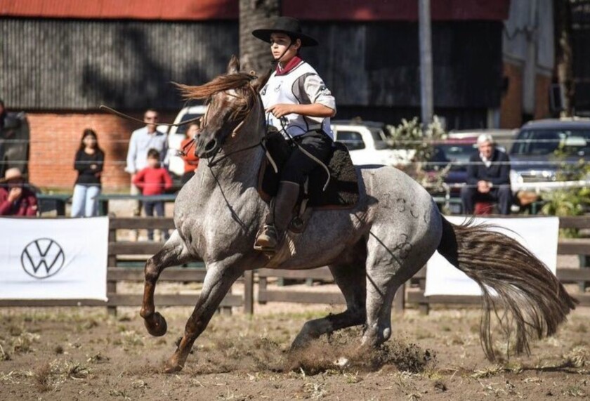 Francisco Cachapuz Móglia - Crédito ZAF Fotografias Divulgação.jpg