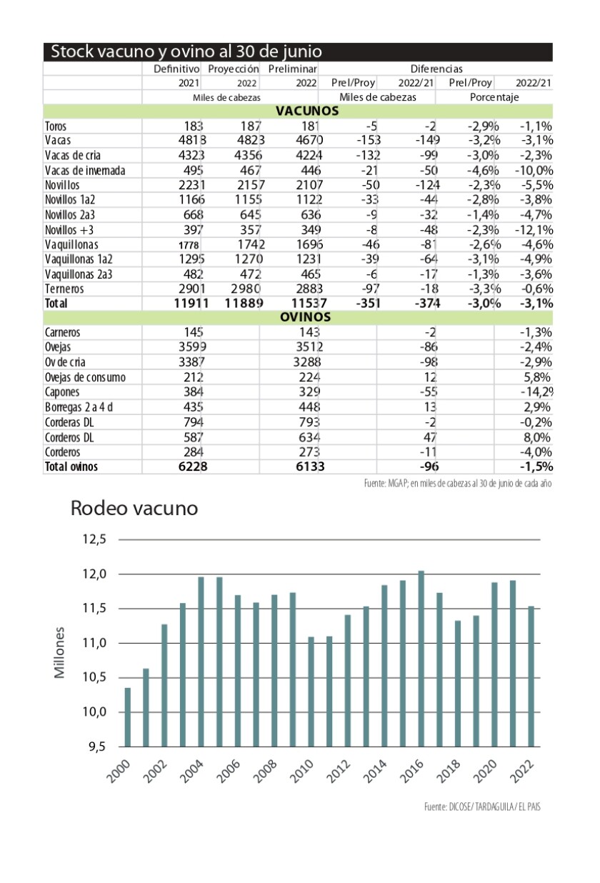 Stock vacuno al 30 de junio 2022