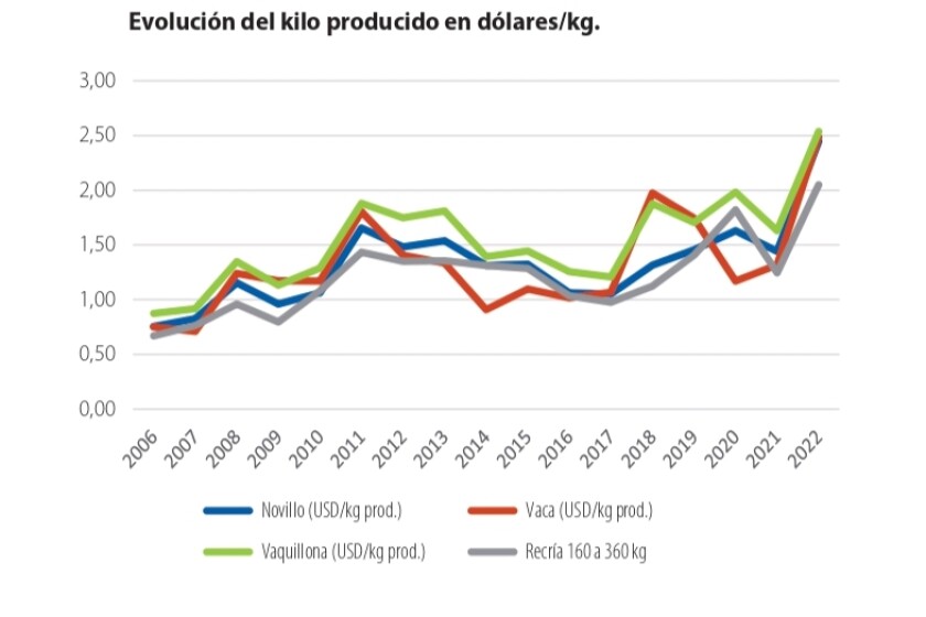 evolucion por kilo producido.jpg