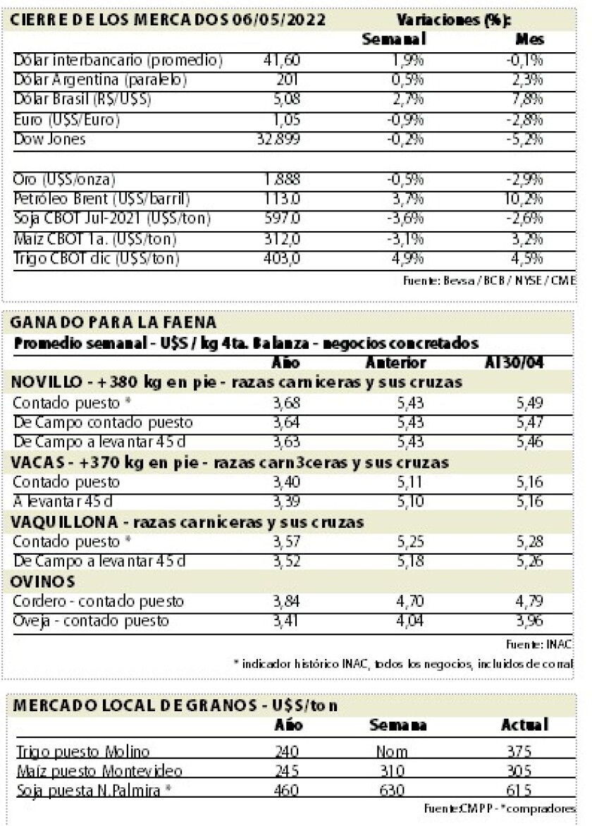 mercados.jpg