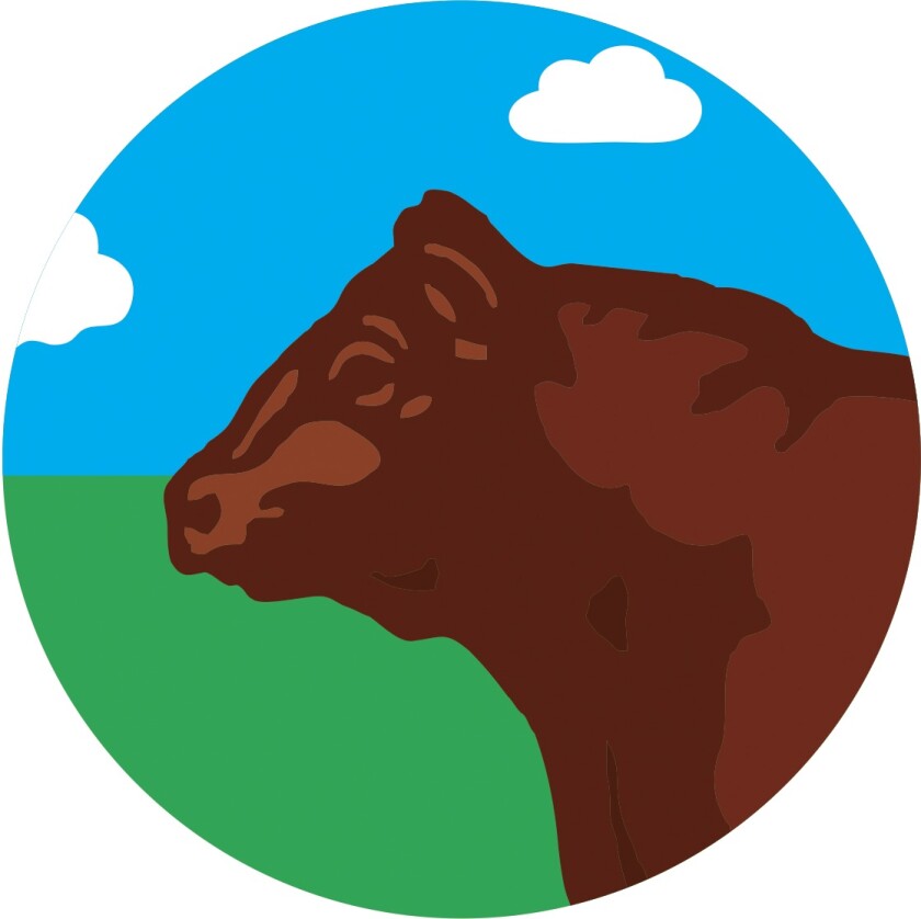 Agro para principiantes toro