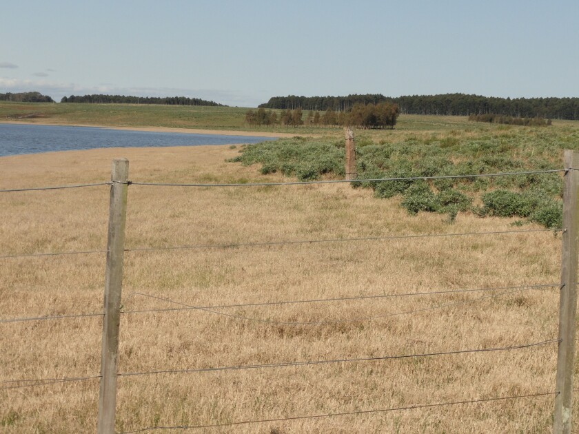 paisaje-1.jpg