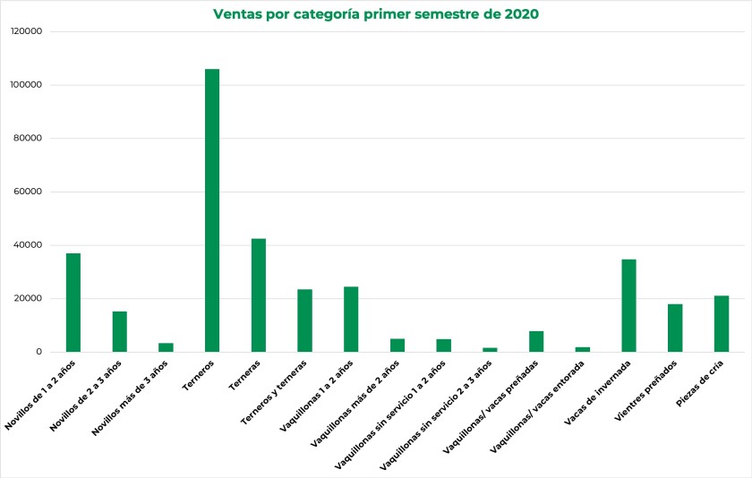 ventas-por-categoria-graf.jpg