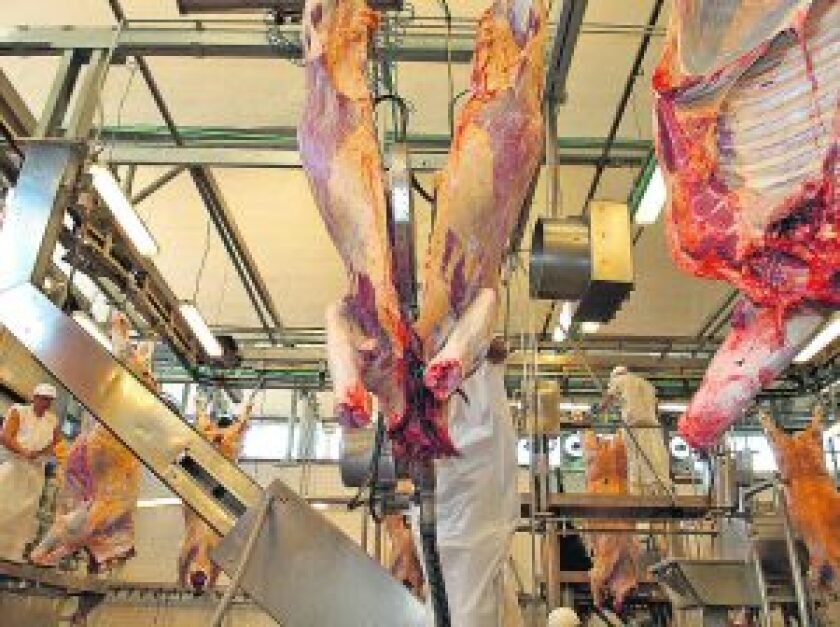 kosher-300x224.jpg