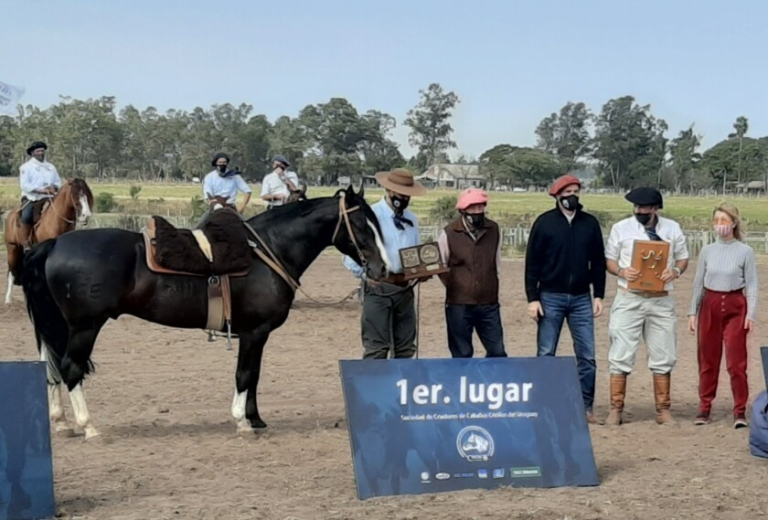 primer-lugar-machos.jpg