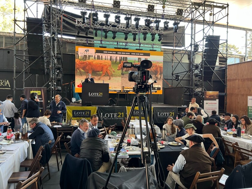 El remate se realizó ayer desde Plaza Prado, en la Expo