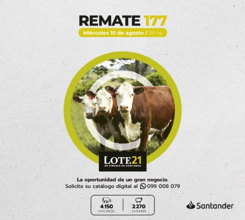 Previa Lote 21 agosto 22.jpg