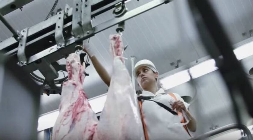 marfrig-global-foods.jpg