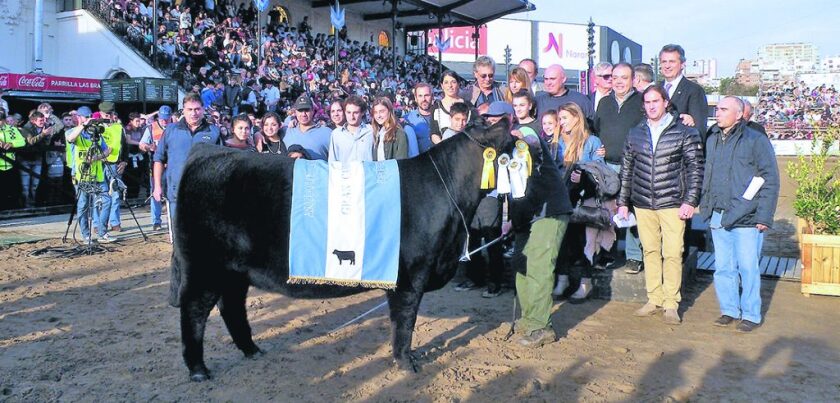 imagen-gran-campeona-angus-1-1-1024x491.jpg