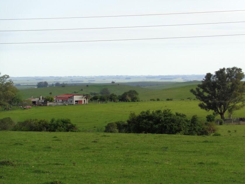 agroclaro-campo.jpg