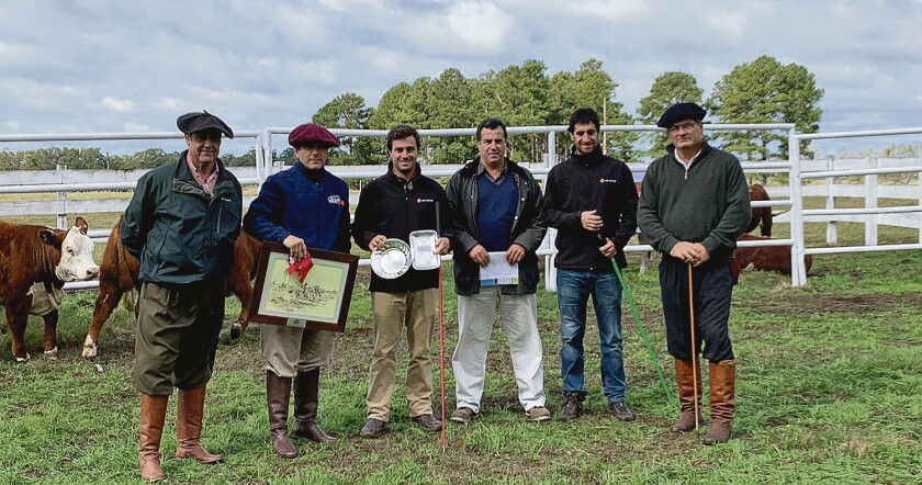 lote-campeon-hembras.jpg