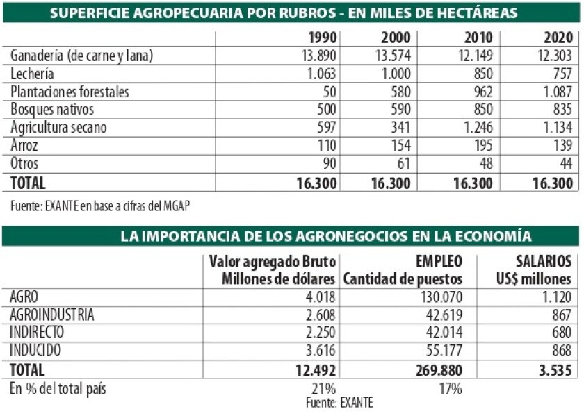 Cuadros Lussich.jpg