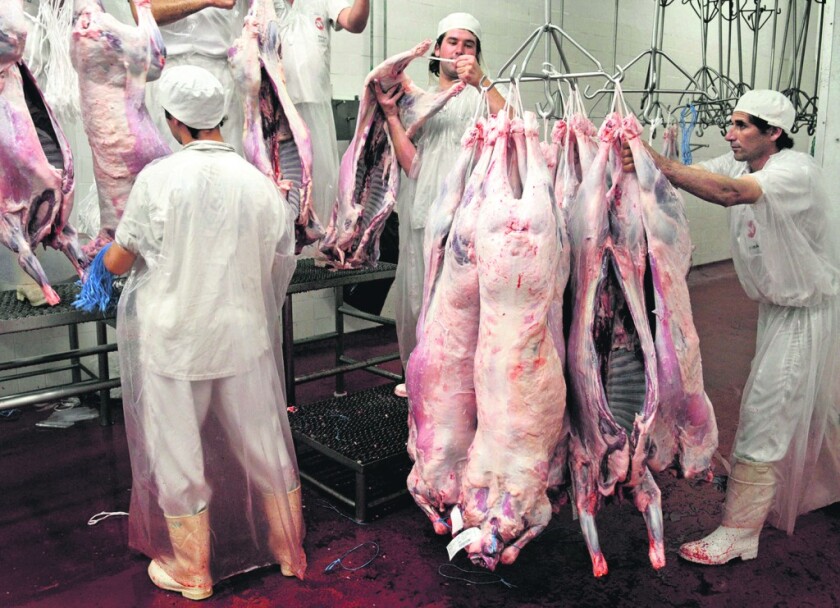 carne-10465470-1024x741.jpg