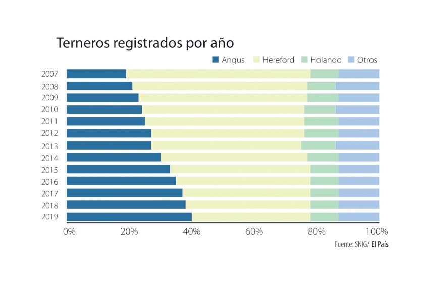 terneros-registrados-por-ano.jpg