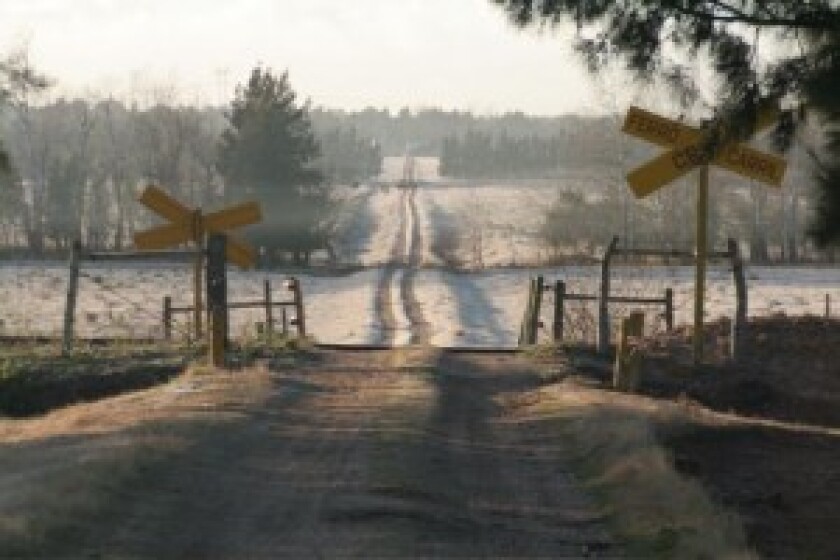 frost-8810-300x200.jpg