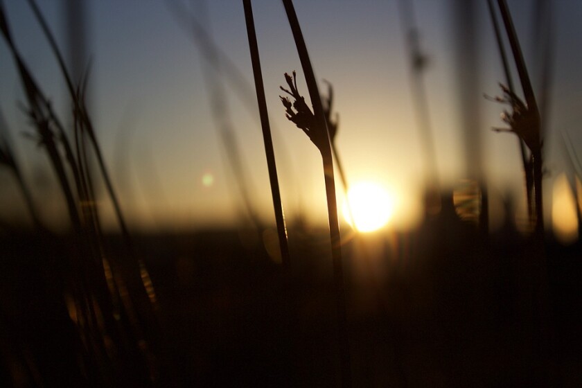 sunset-1149065-960-720.jpg