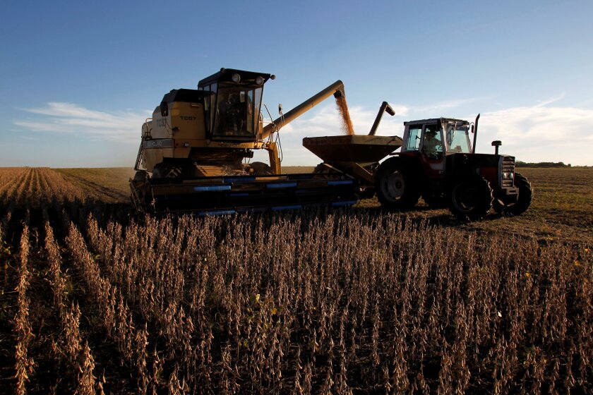agricultura.jpg
