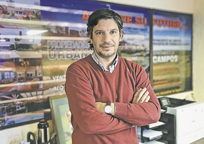 imagen-ale.jpg