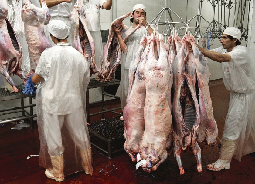 CARNE