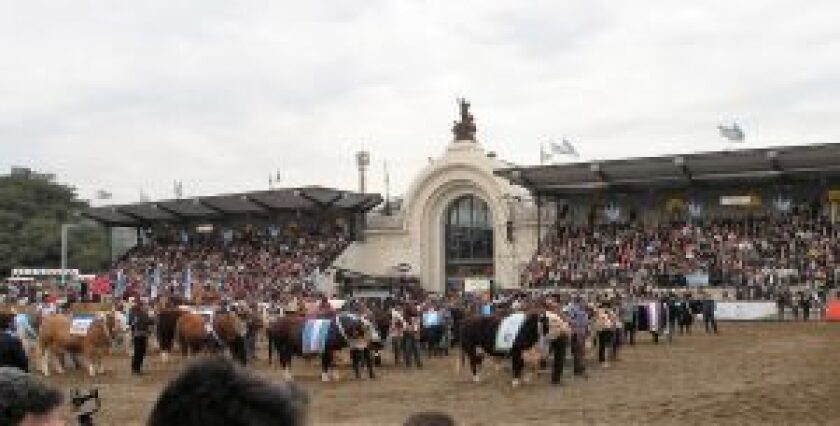 expo-palermo-300x152.jpg