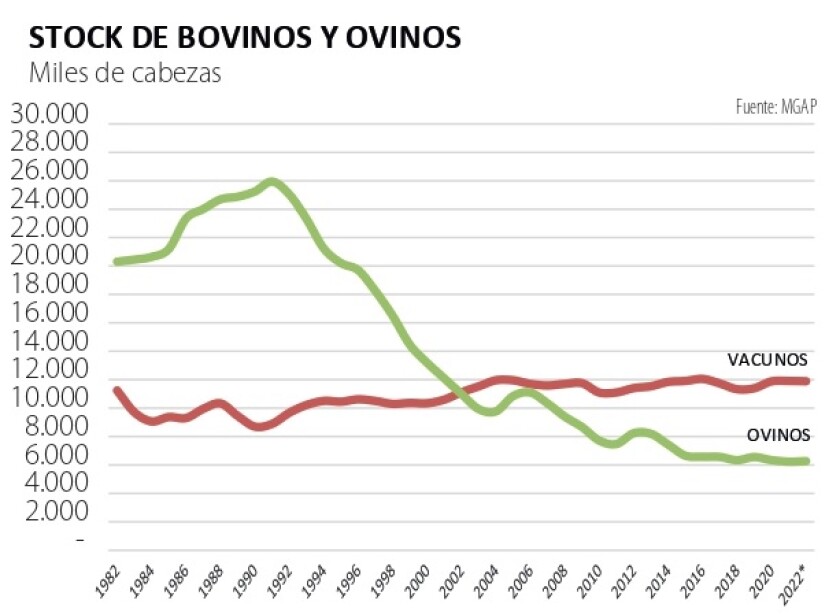 stock de bovinos y ovinos