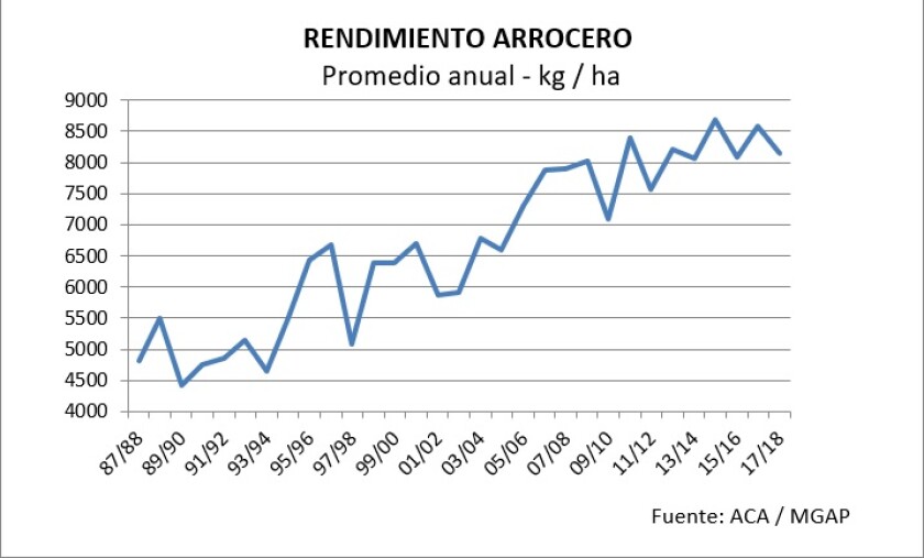 rendimiento-arrocero-1.jpg