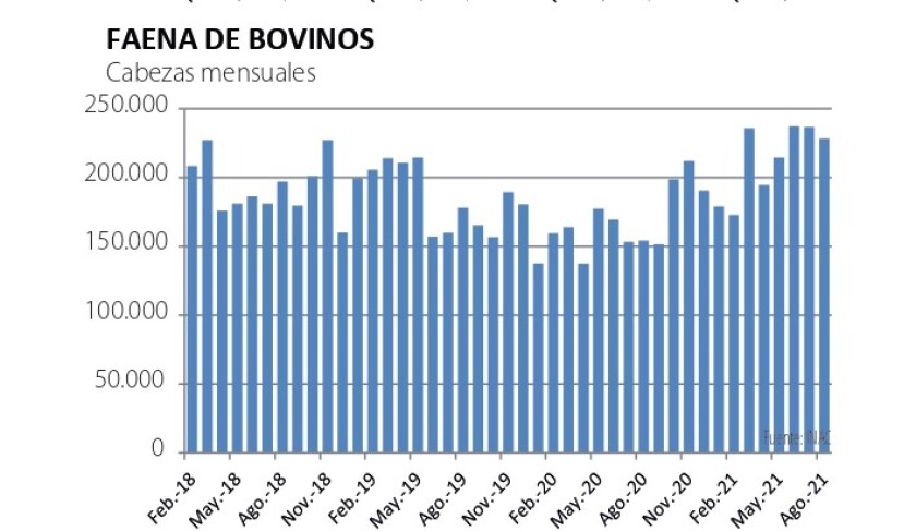 faena de bovinos.jpg