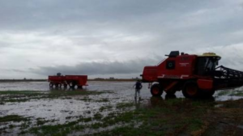 Foto: Clarín.