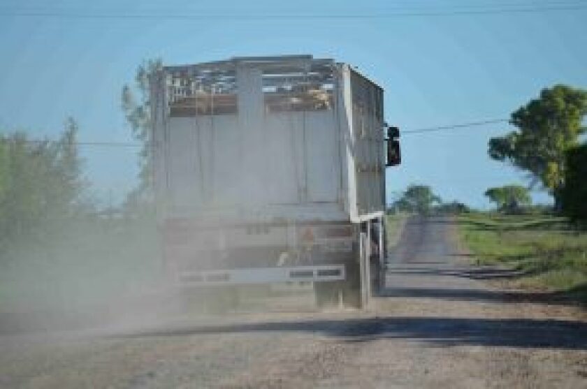 camion-con-ganado-300x199.jpg