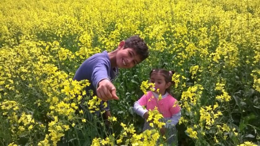 jorge-gadea-cadol-nuevas-generaciones-en-el-campo-650x365.jpg
