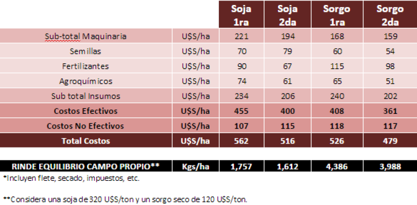 GRAFICO 1