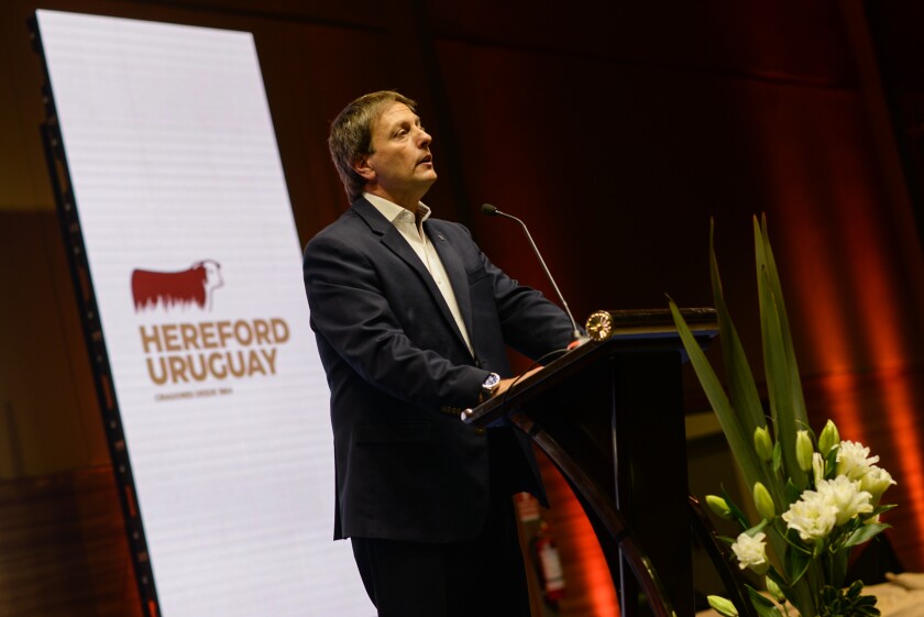 Ricardo Reilly Arrarte.jpg