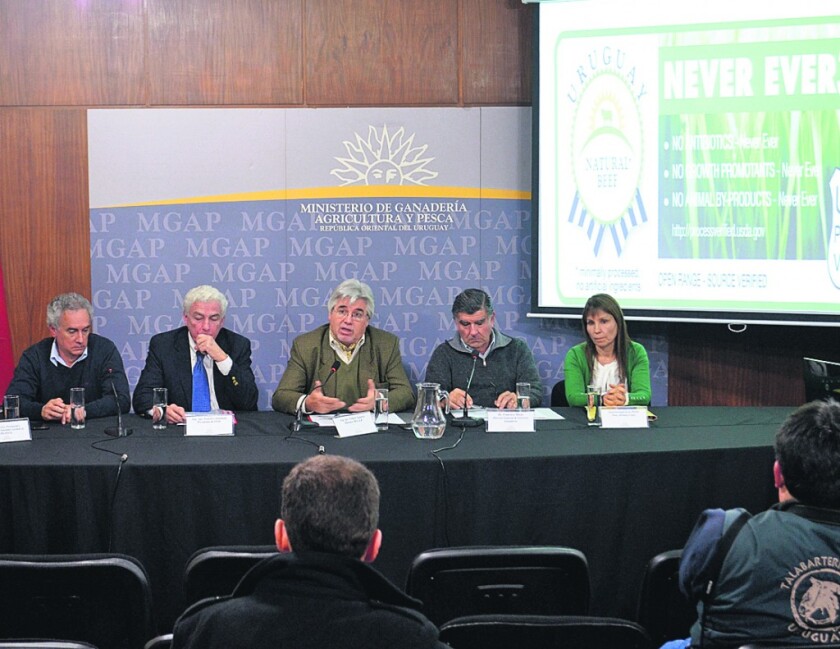 Imagen DSC_0035