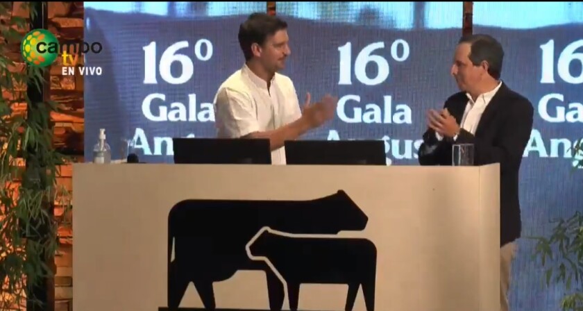 gala-3.jpg