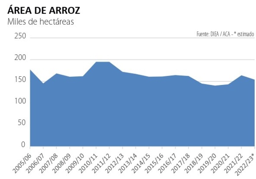 area arroz.jpg